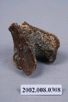 臺史博典藏網 水牛髖骨化石 縮圖
